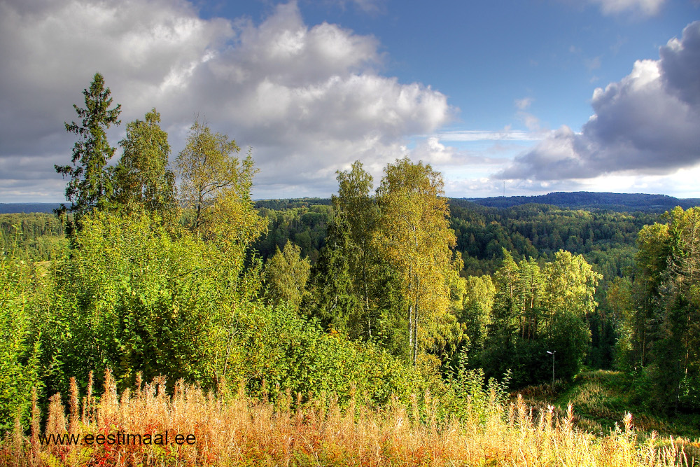 Väike Munamägi