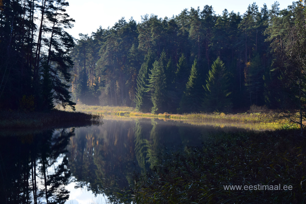 Elva Paisjärv