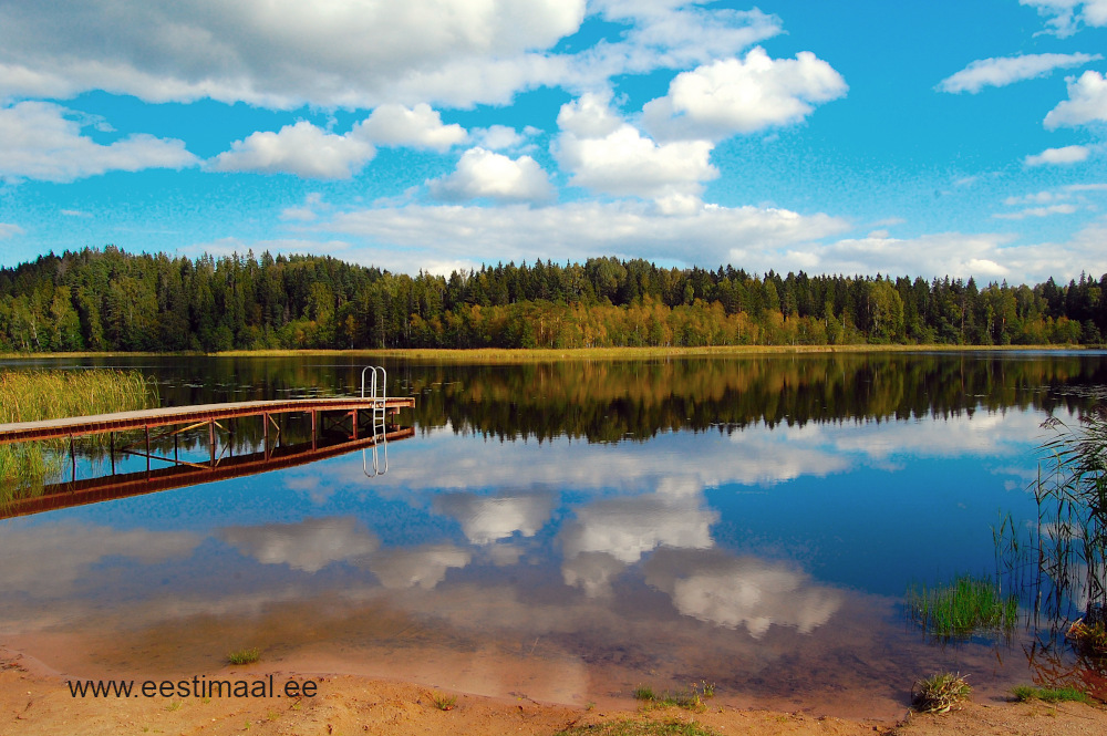 Kääriku järv ranna, ujumiskoha ja saunaga