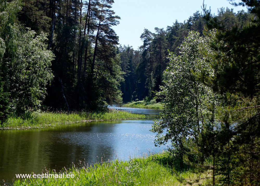 Elva Pulgaoja Paisjärv