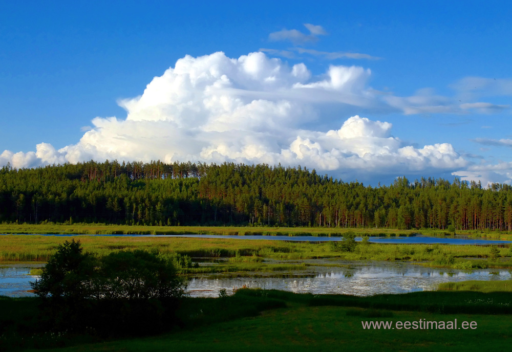 Võrumaa järv suure pilvega