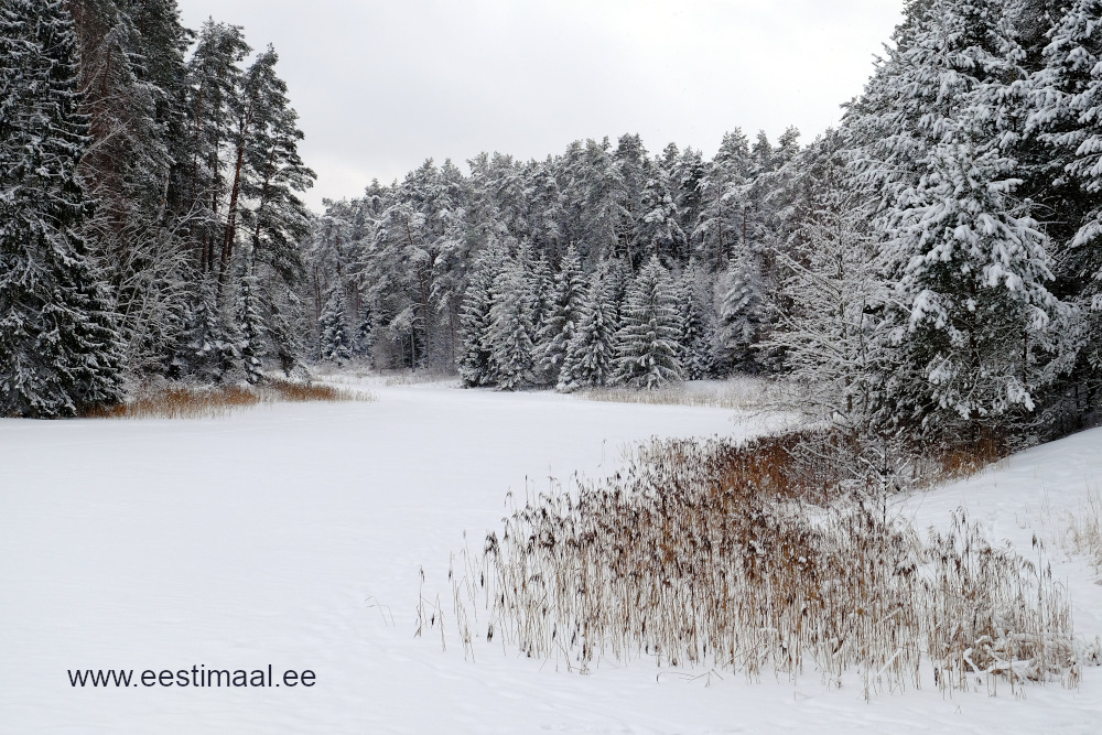 Elva Paisjärv talvel